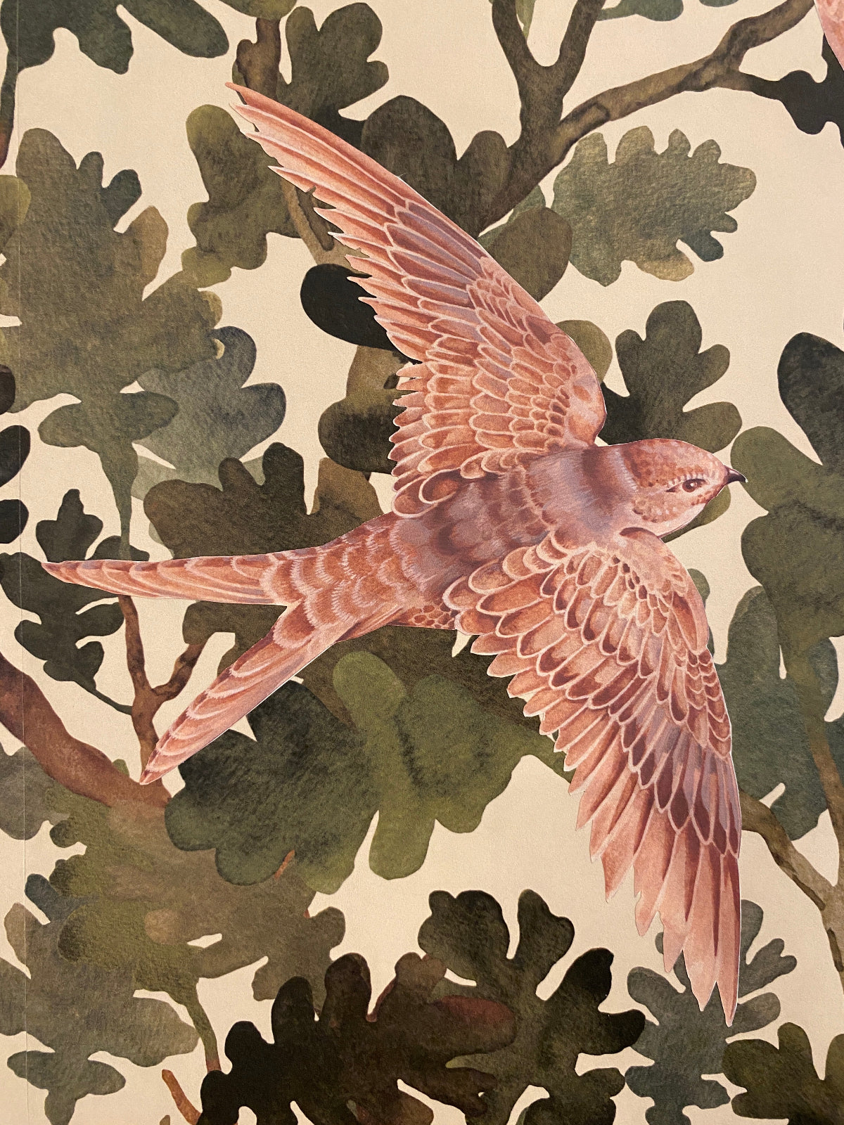 Swallow, swallow decal, fabric decal, renter friendly, reusable
Hand-painted swift wall decal in dusty pink, wings raised, on illustrated oak leaf branches