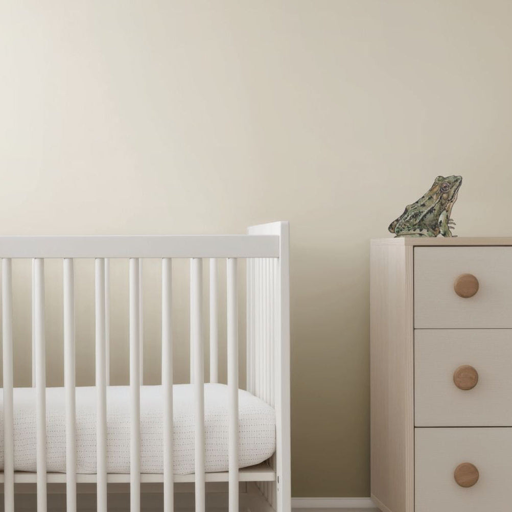 Frog, decal, nursery decal, renter friendly, neutral wall art nursery