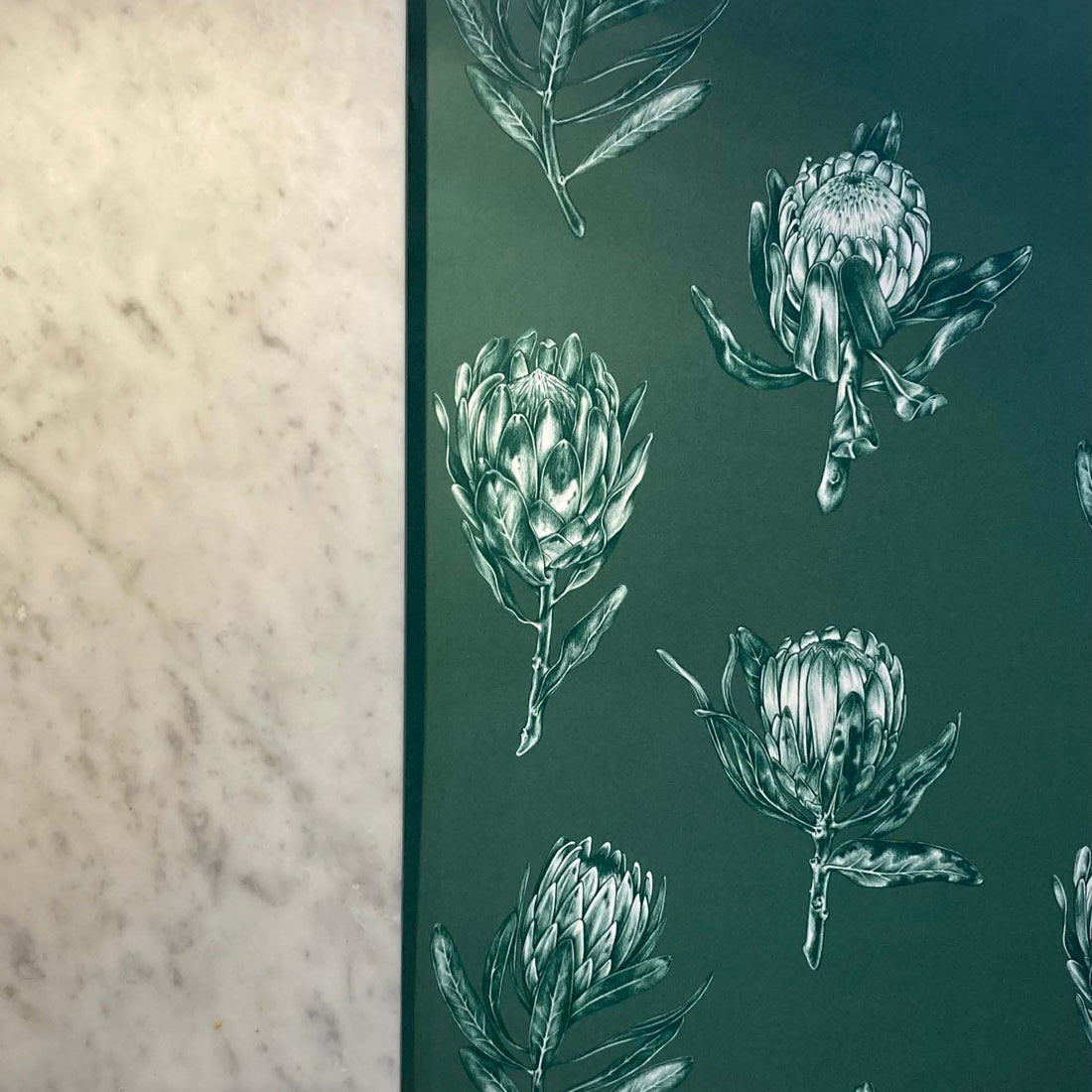 Wallpaper, premium wallpaper, botanical wallpaper, Floral wallpaper, FSC wallpaper, plant a tree, Protea Polka wallpaper, Kate Walton, Kate Walton Collections, Kate Walton wallpaper, kitchen wallpaper