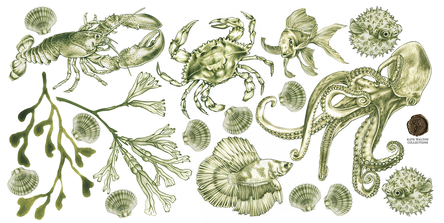 Kelp Forest Decals Marine