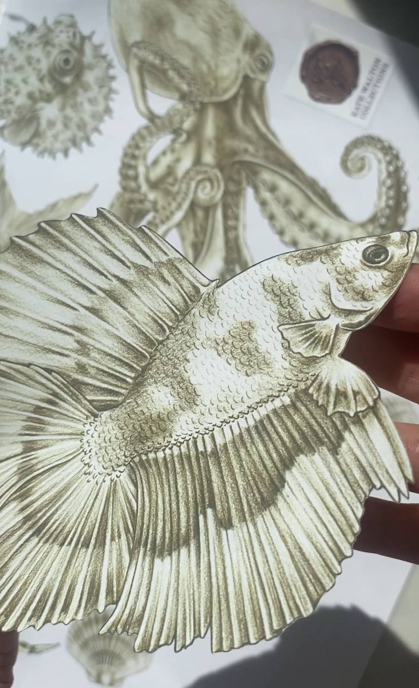 A close-up of a hand holding a detailed cutout illustration of a betta fish, with other marine creature cutouts and a small stamp visible in the background.
Fabric decal, reusable decal, renter friendly