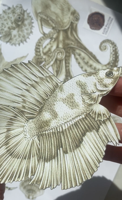 A close-up of a hand holding a detailed cutout illustration of a betta fish, with other marine creature cutouts and a small stamp visible in the background.
Fabric decal, reusable decal, renter friendly