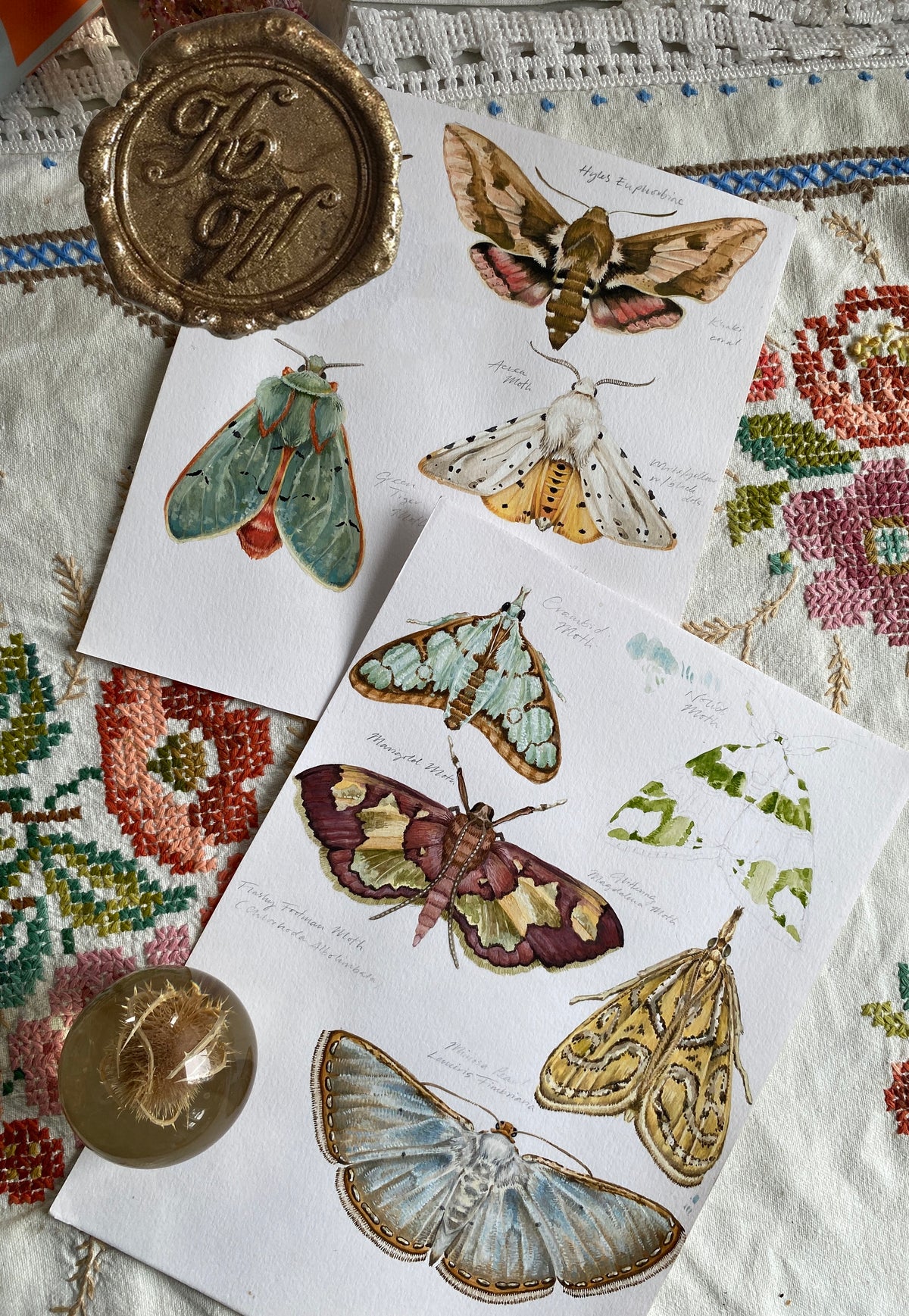 Moth Decals
