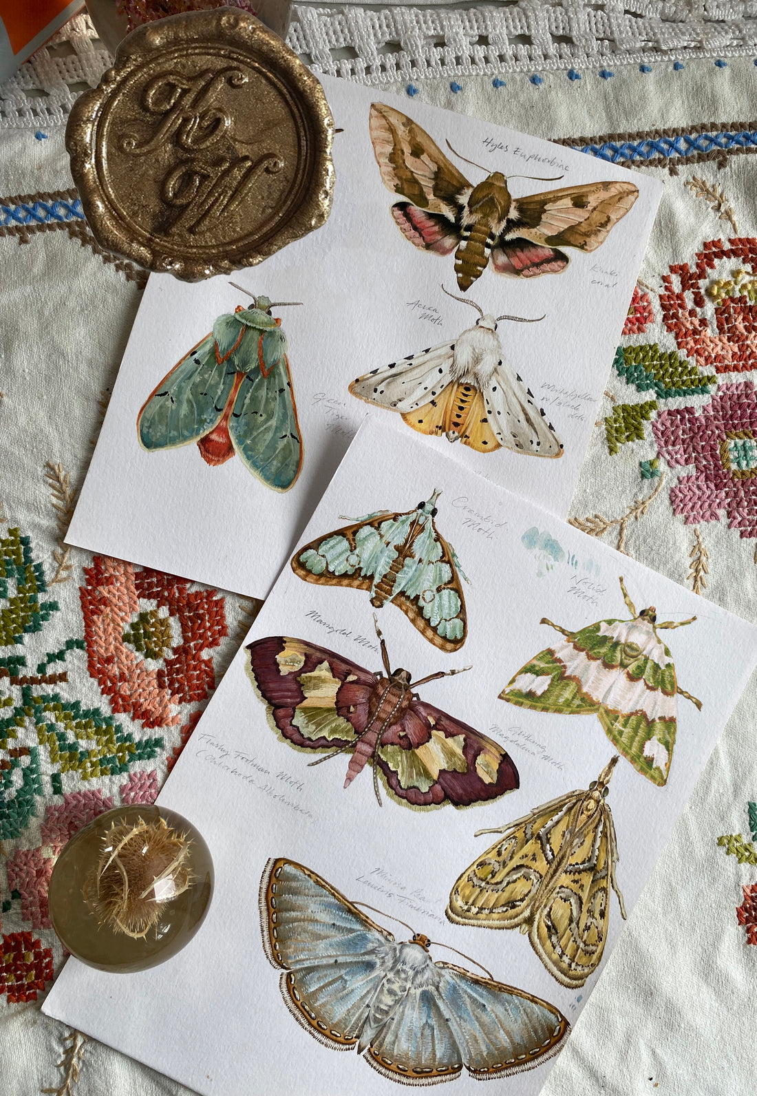Moth Decals