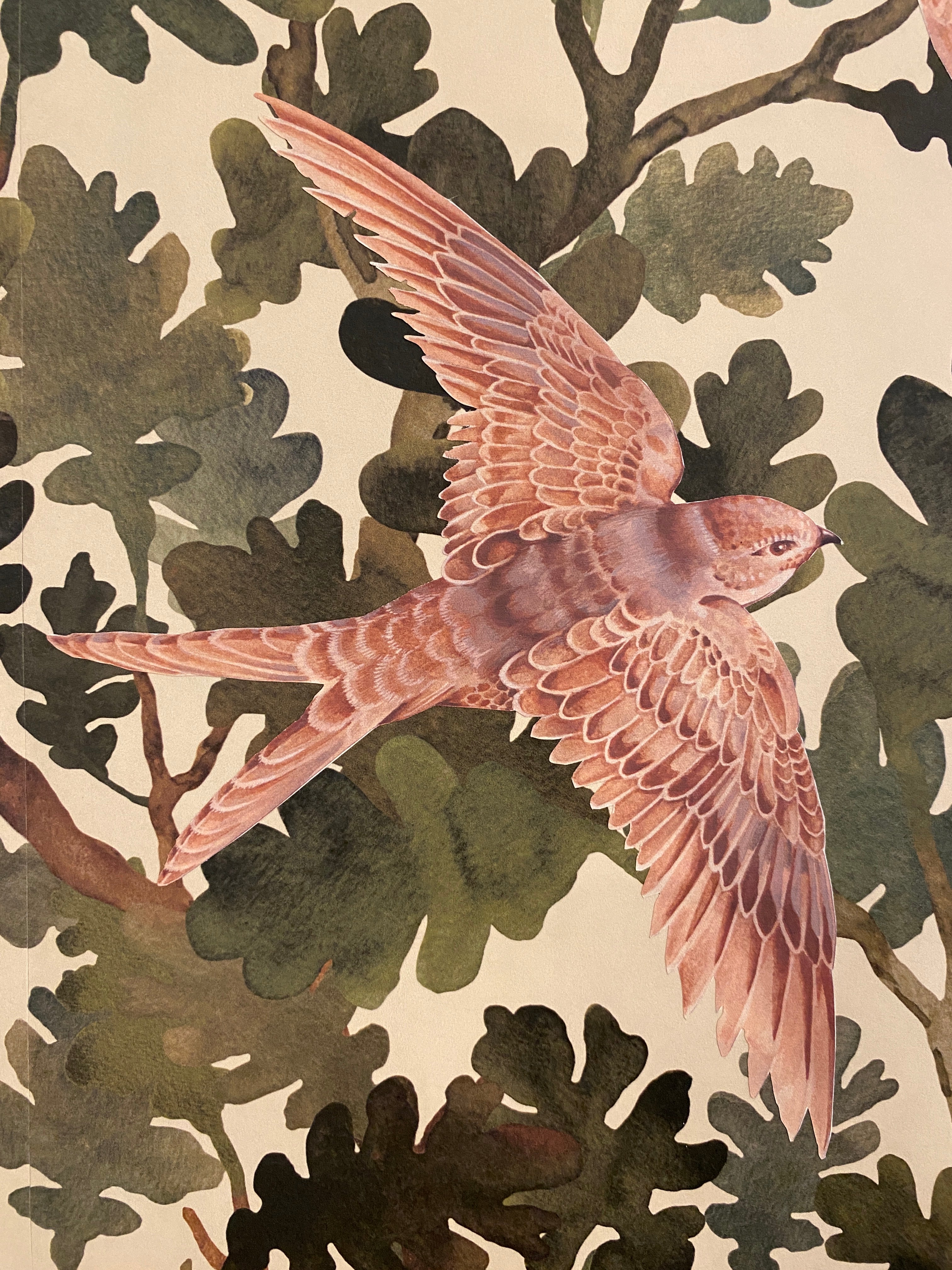 Swallow, swallow decal, fabric decal, renter friendly, reusable
Hand-painted swift wall decal in dusty pink, wings raised, on illustrated oak leaf branches
