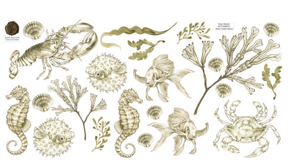 Kelp Forest Decals