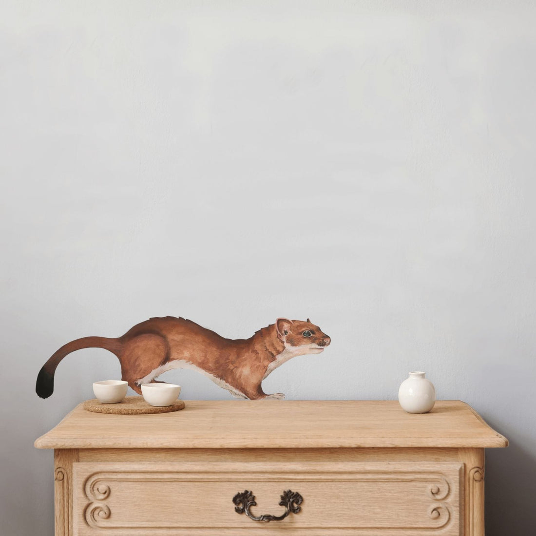 Ferret