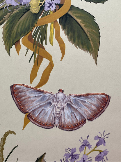 Moth decal 