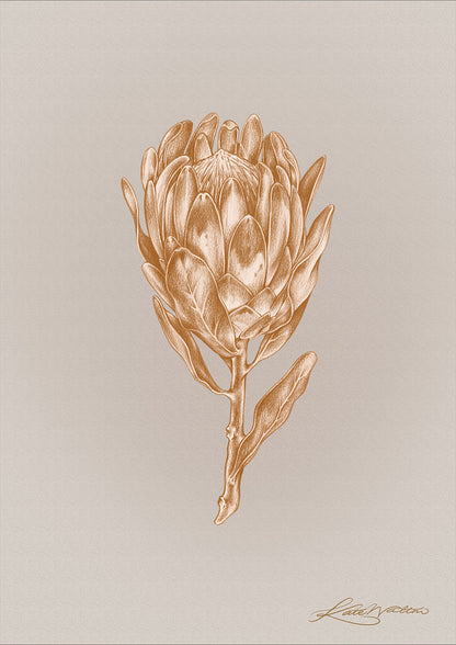 FSC paper, handpainted, premium, Giclée print, high quality print, hand painted, carbon neutral, ethical, ethical art, botanical painting, botanical print, artwork, independent artist