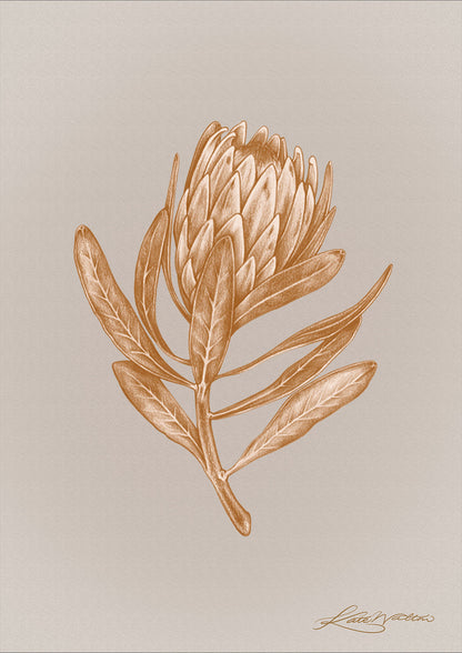 FSC paper, handpainted, premium, Giclée print, high quality print, hand painted, carbon neutral, ethical, ethical art, botanical painting, botanical print, artwork, independent artist