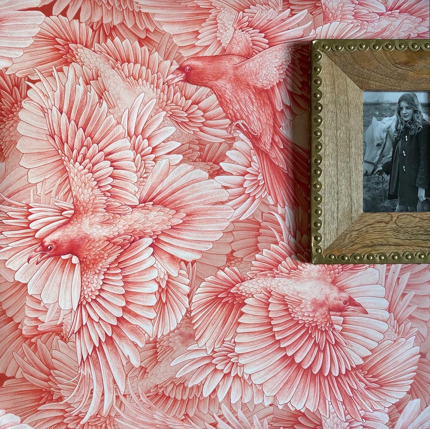 Wallpaper, premium wallpaper, bird wallpaper, FSC wallpaper, plant a tree, Raven Fleet wallpaper, Kate Walton, Kate Walton Collections, Kate Walton wallpaper, bedroom wallpaper
